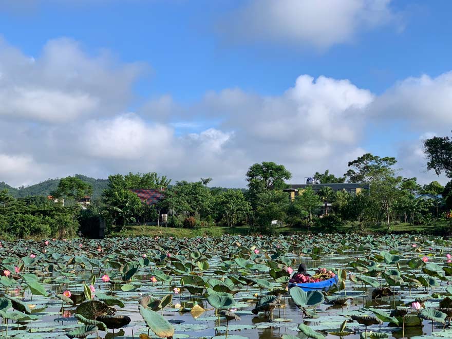 Chơi gì tại Wonder Farm Ba Vì? 9+ hoạt động du lịch được yêu thích 4 Hoạt động du lịch bơi thuyền hái sen