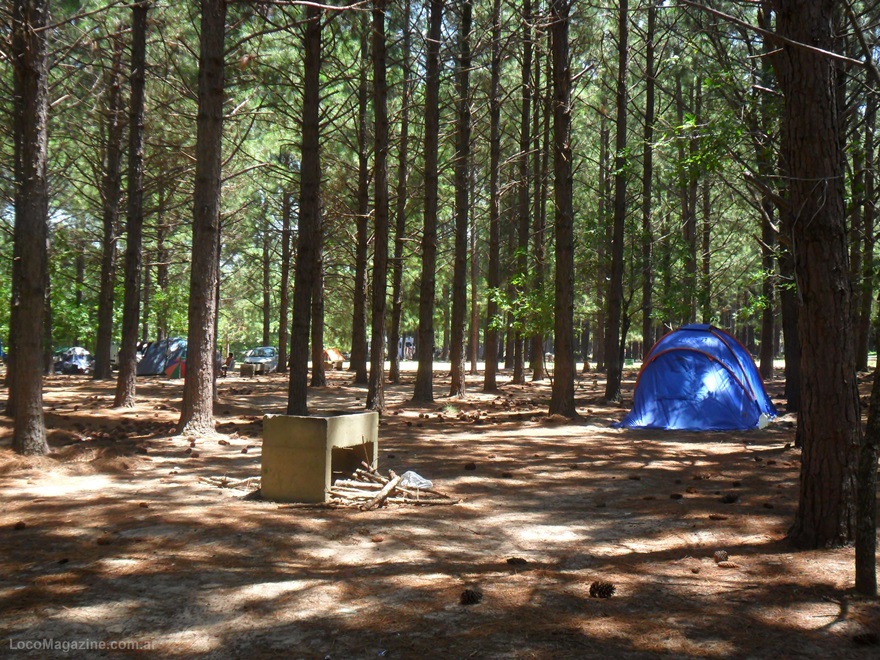 Lợi ích vượt trội của Camping là gì?