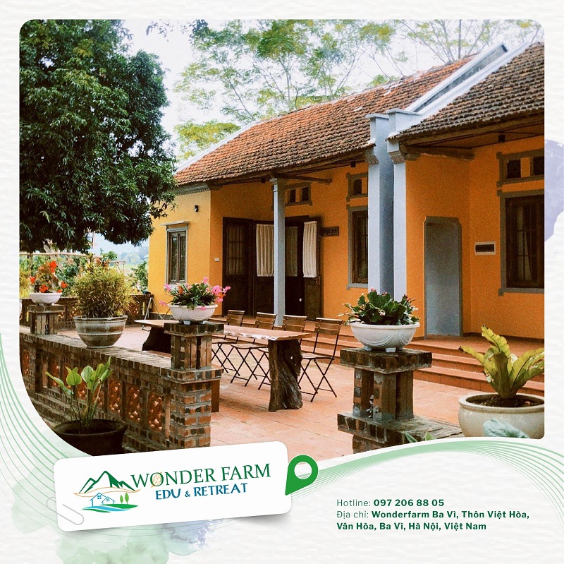 Tại sao nên chọn Wonder Farm làm địa điểm du lịch Ba Vì? 2 địa điểm du lịch Ba Vì