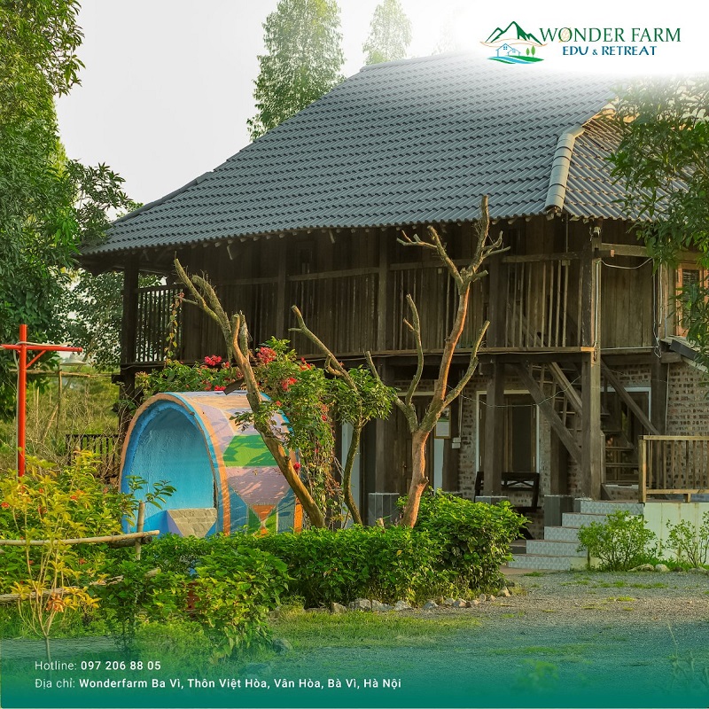 Tại sao nên chọn Wonder Farm làm địa điểm du lịch Ba Vì? 3 địa điểm du lịch Ba Vì