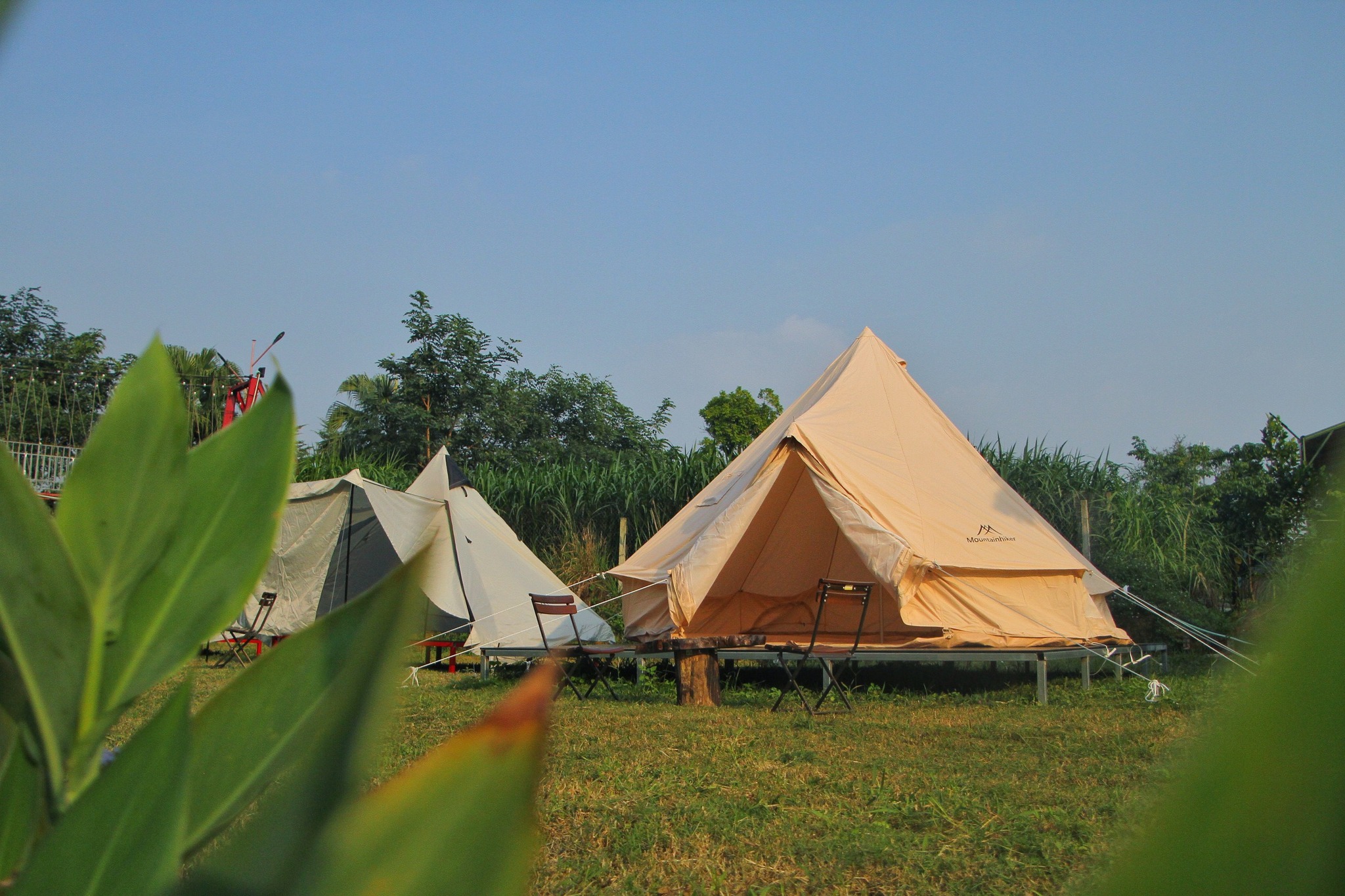 Teambuilding, sự kiện công ty không khó vì đã có Wonder Farm 6 406213290 355522923659569 7344899082132896116 n