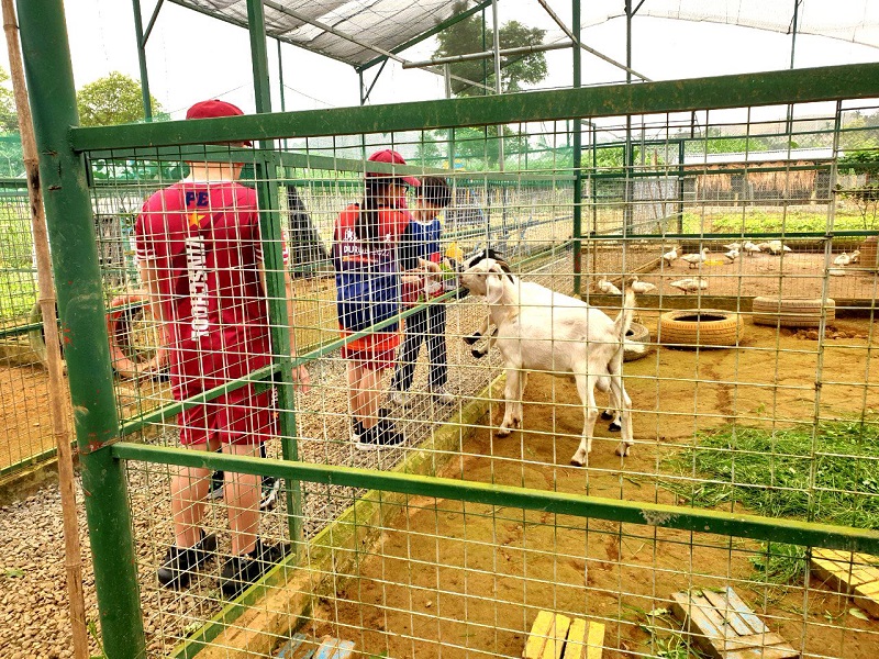 Wonder Farm Zoo