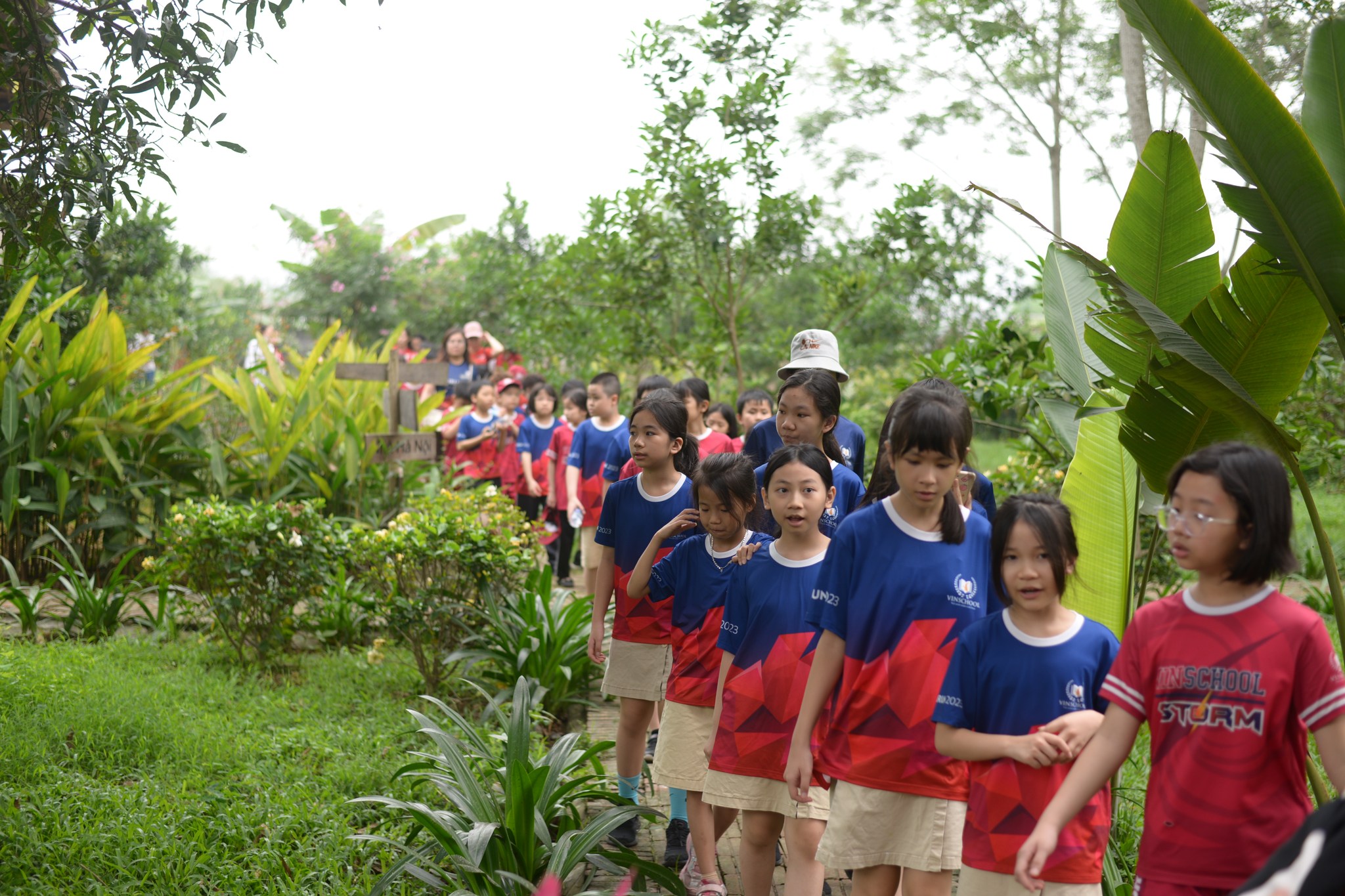 SUMMER KIDS CAMP 2025: Trải nghiệm Trại hè tại Wonder Farm có gì đáng chú ý? 4 347611065 622447816574695 428719946060693041 n