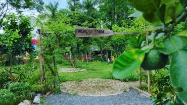 Khi nào nên đi du lịch Wonder Farm Ba Vì?