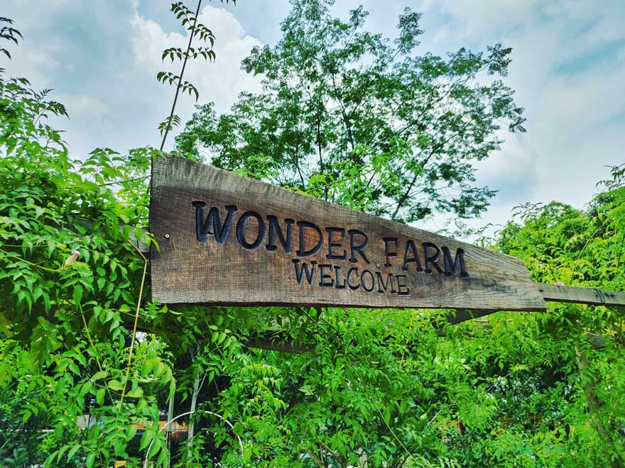 Wonder Farm - không gian thiên nhiên tươi đẹp và mát mẻ