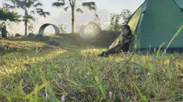 Camping là gì? 8 lợi ích vượt trội của Camping