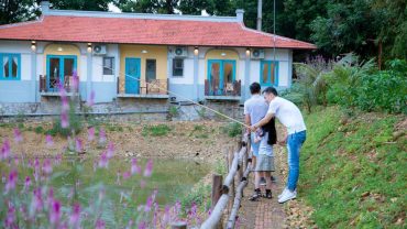 Farm tour là gì? Sự hấp dẫn của xu hướng du lịch farm tour