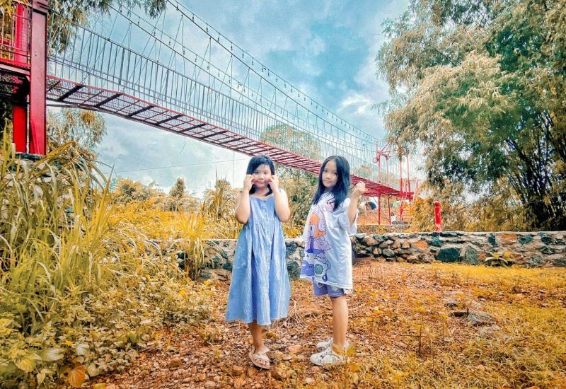 Wonder Edu (1)