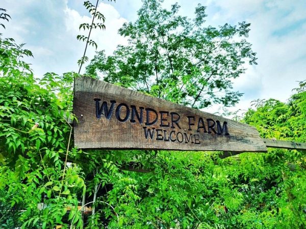 Wonder Tree Farm địa điểm nổi tiếng tại khu du lịch sinh thái Wonder Farm