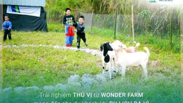 du lịch ba vì